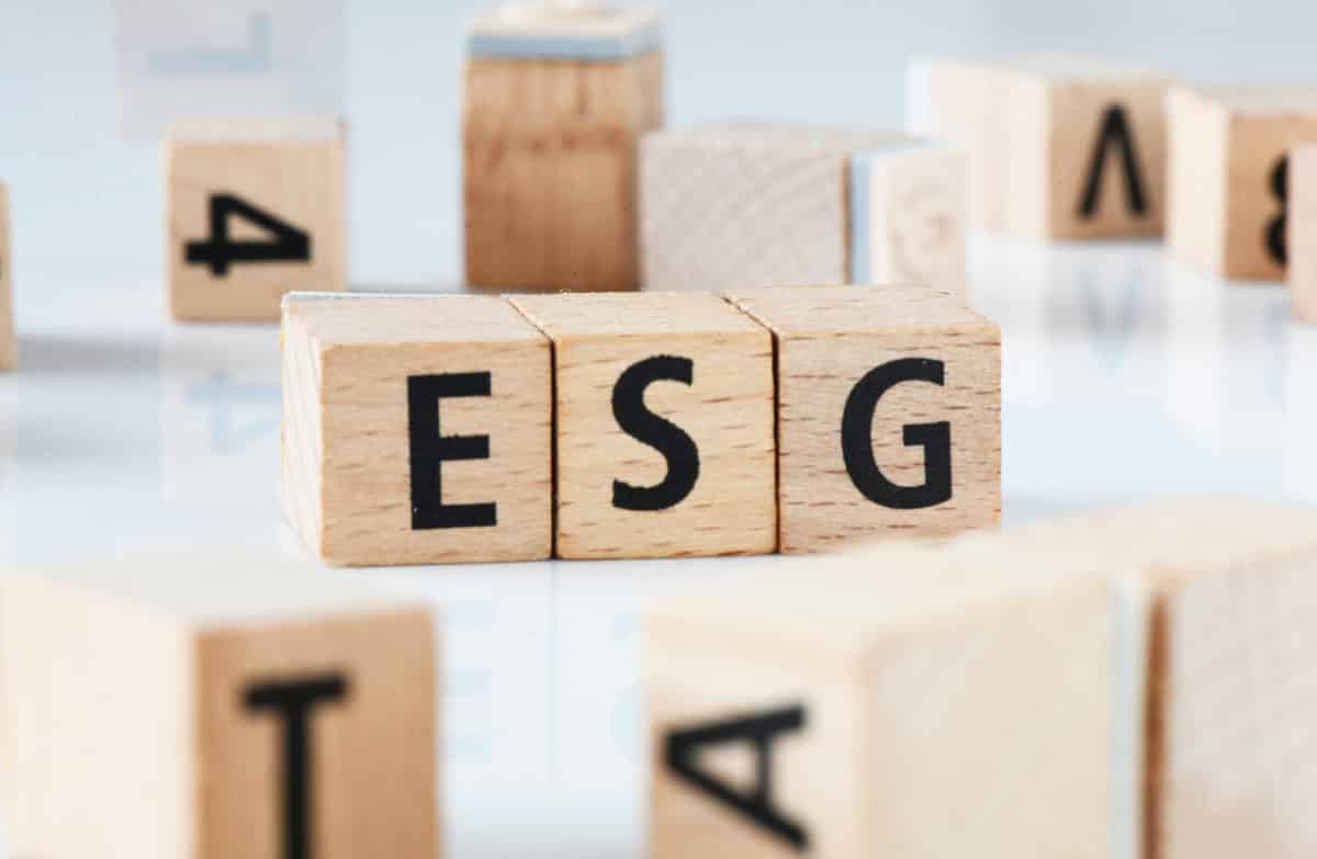 Sustainability and Examples of Successful ESG